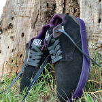 Bull Dog Negro Morado